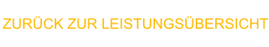 ZURÜCK ZUR LEISTUNGSÜBERSICHT