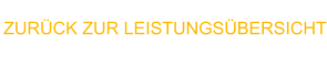 ZURÜCK ZUR LEISTUNGSÜBERSICHT