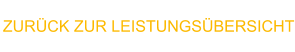 ZURÜCK ZUR LEISTUNGSÜBERSICHT
