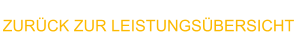 ZURÜCK ZUR LEISTUNGSÜBERSICHT