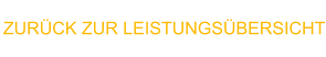 ZURÜCK ZUR LEISTUNGSÜBERSICHT