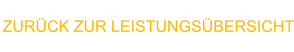 ZURÜCK ZUR LEISTUNGSÜBERSICHT