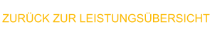 ZURÜCK ZUR LEISTUNGSÜBERSICHT