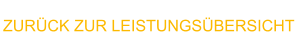 ZURÜCK ZUR LEISTUNGSÜBERSICHT